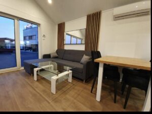 Mobil-Home 10x4m (40 m²) « Modèle II » – Toit à 30°, Poêle à Pellets & Chauffage Hybride (Sur Commande)